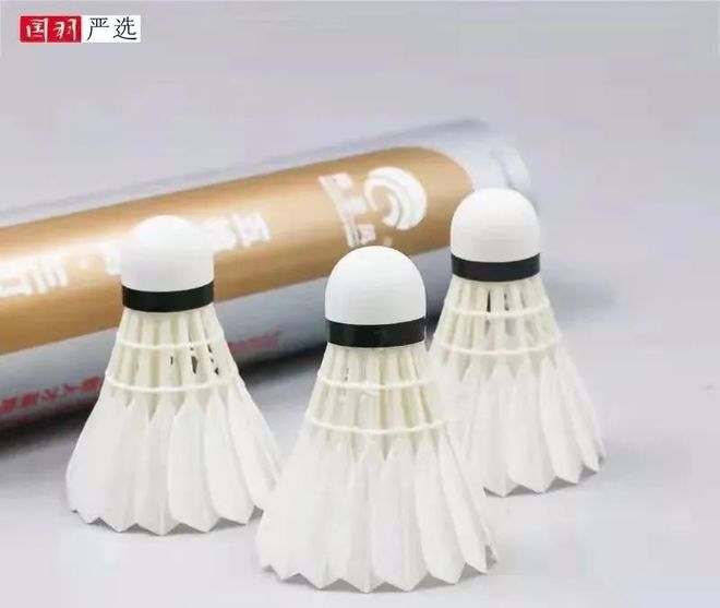 寻球之路V记比赛级的平替球花最小的钱享受最大的乐趣！(图2)