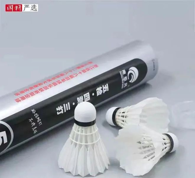 寻球之路V记比赛级的平替球花最小的钱享受最大的乐趣！(图4)