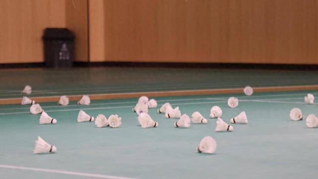 星空体育网站：“月薪两万块打不起羽毛球”？——羽毛球集体涨价