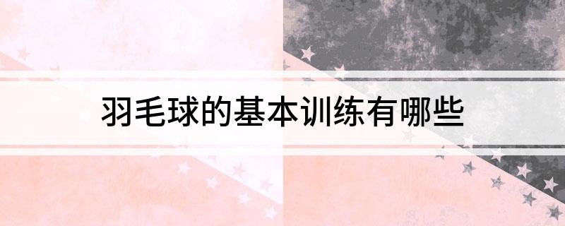 羽毛球的基本训练有哪些
