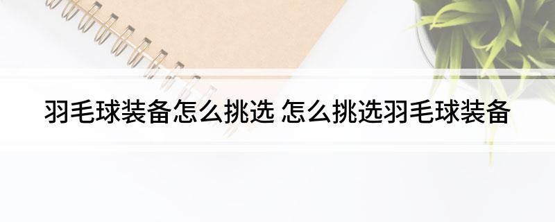 羽毛球装备怎么挑选