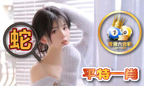 老夫子3333V52