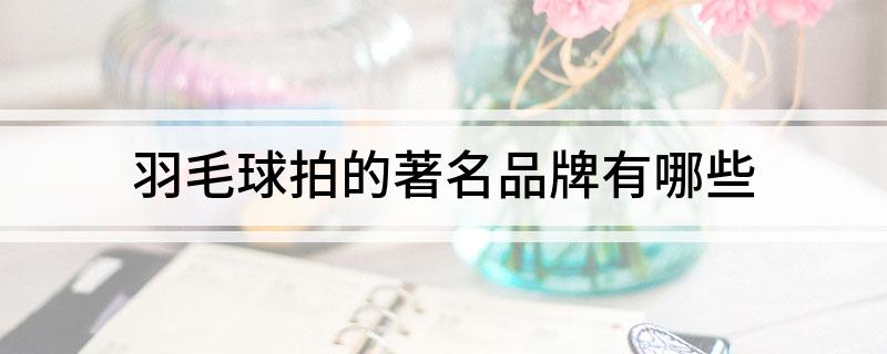 羽毛球拍的著名品牌有哪些