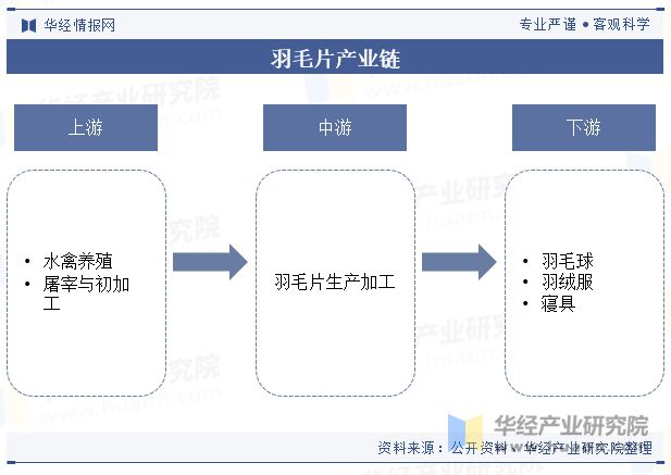 中国羽毛片行业发展现状及趋势分析羽毛球运动盛行行业需求旺盛「图」(图5)