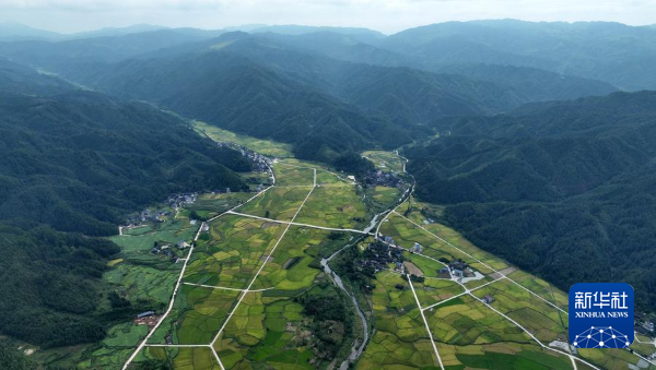 星空体育网站：一颗羽毛球改变中国西南深山小县城(图1)