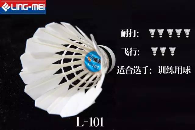 星空体育平台：知识羽毛球初学者装备选购指南