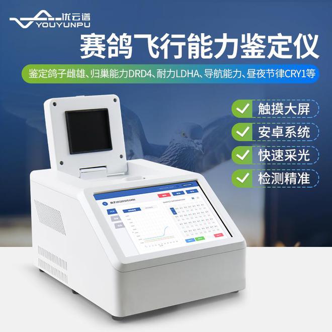 基因赋能飞行力：赛鸽飞行能力DNA鉴定仪让选育更科学