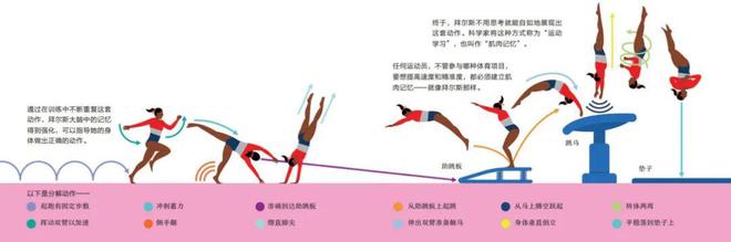 看奥运不过瘾？这些体育冷知识让你更懂奥运会！(图2)