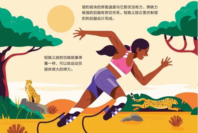 看奥运不过瘾？这些体育冷知识让你更懂奥运会！(图7)
