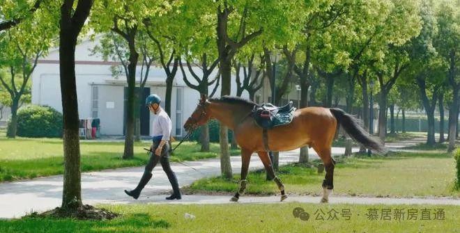 国印东方2024网站丨国印东方售楼中心欢迎您最新楼盘评测(图7)