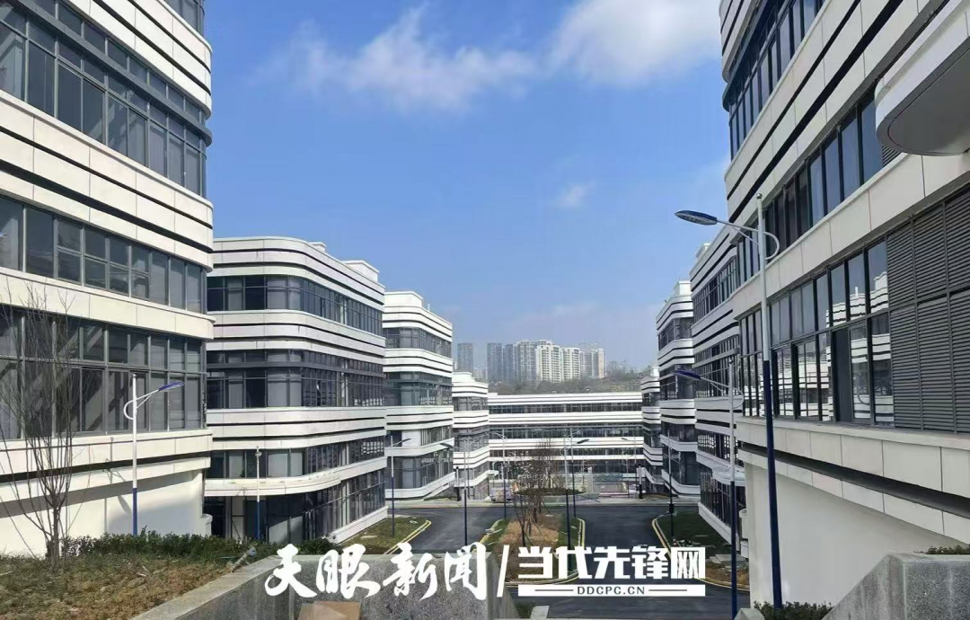 星空体育网站：大抓产业主攻工业！贵州：“一图三清单”牵引做强主导产业(图4)