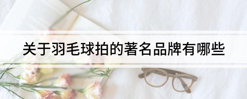 星空体育网址：关于羽毛球拍的著名品牌有哪些
