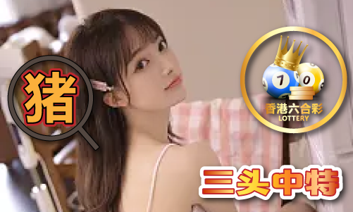 2023年三肖三码期期准V