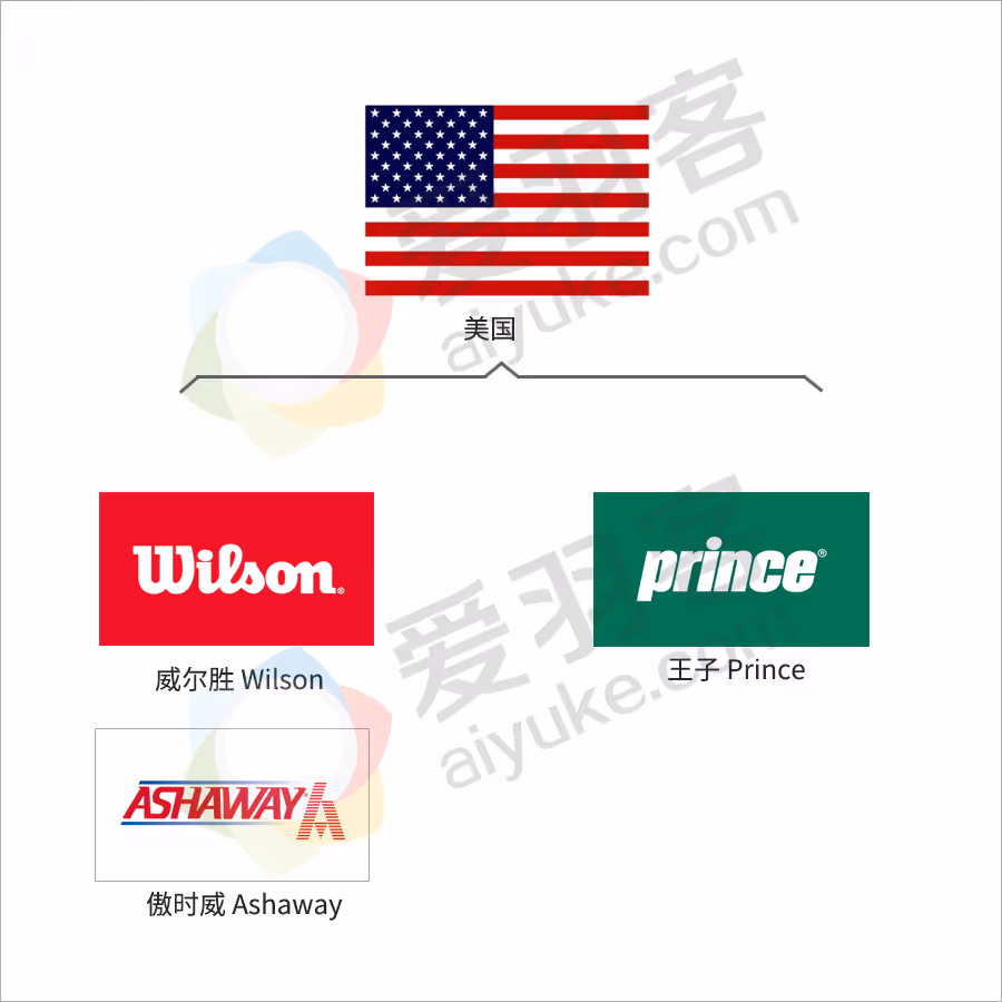 星空体育网站：一文了解全球所有羽毛球品牌！建议收藏！(图10)