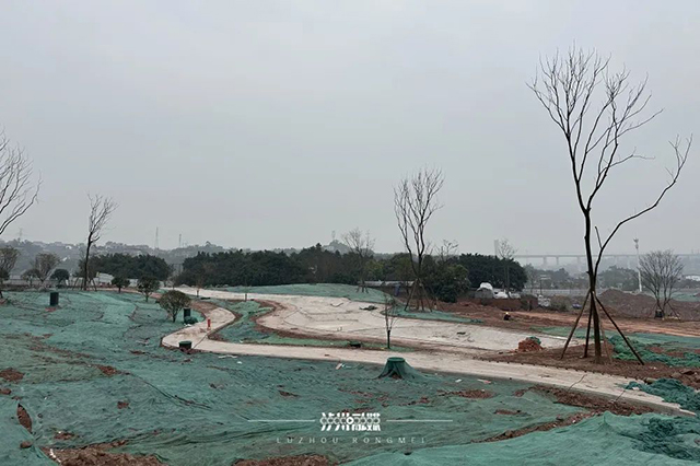 星空体育网址：邓雅文的心愿落地泸州首个小轮车运动公园今夏开园！(图1)