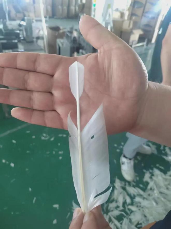 羽毛球怎么成贵族运动了？(图7)
