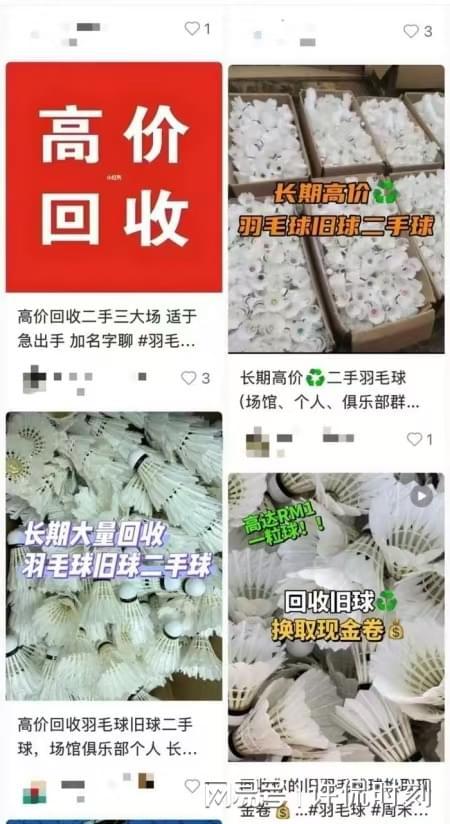 星空体育网站：羽绒服造假现象严重一公斤旧羽毛竟可制5件新服装(图2)