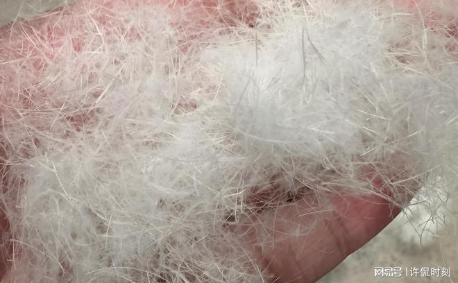 星空体育网站：羽绒服造假现象严重一公斤旧羽毛竟可制5件新服装(图4)
