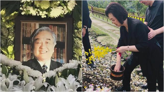 平鑫涛布局20年跪地求婚+宁死不分联手原配林婉珍吸血琼瑶(图4)