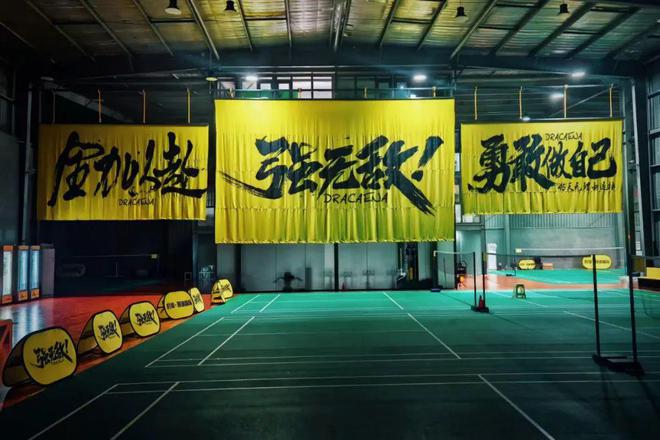“羽毛球人人都能打的起”？大品牌即将降价？(图2)