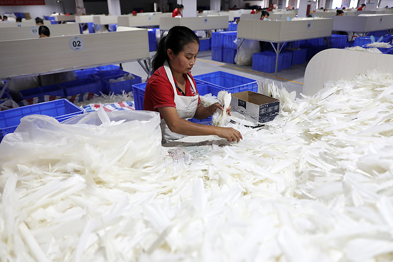 涨幅超黄金羽毛球的价格为何一涨再涨？(图2)