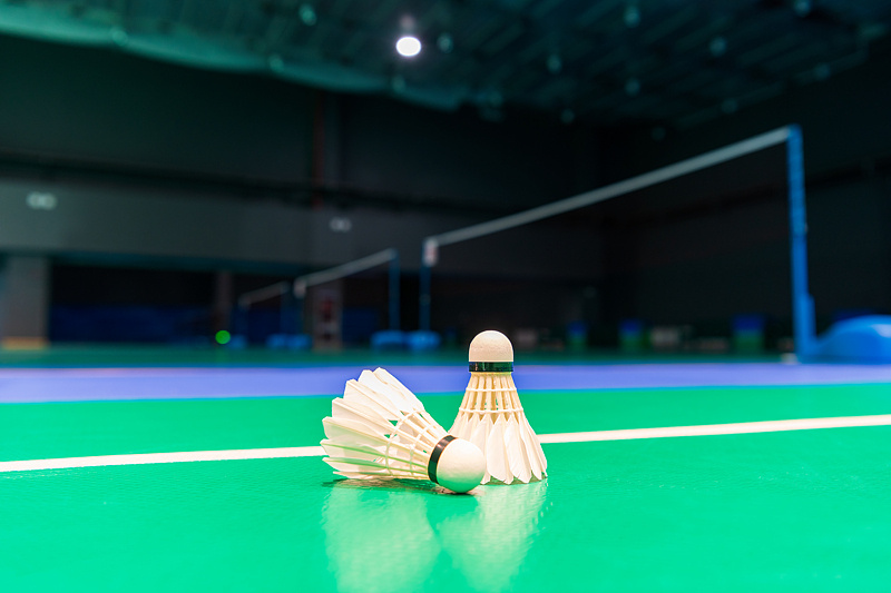 涨幅超黄金羽毛球的价格为何一涨再涨？(图3)