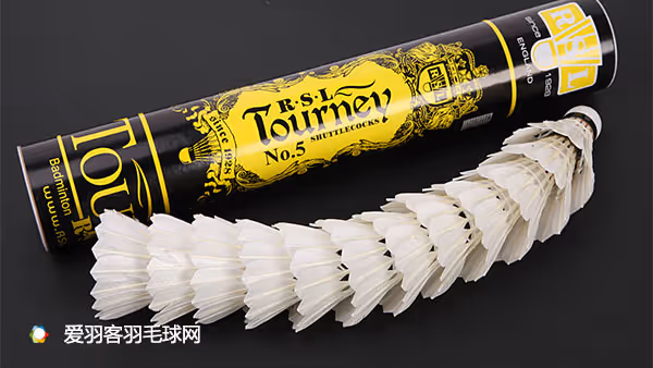 2017年度十大羽毛球品牌出炉第一竟然是(图4)