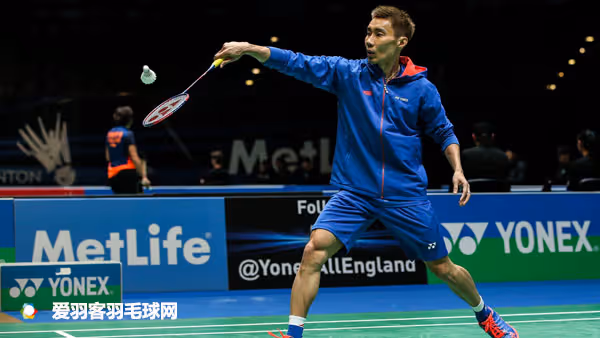 2017年度十大羽毛球品牌出炉第一竟然是(图10)