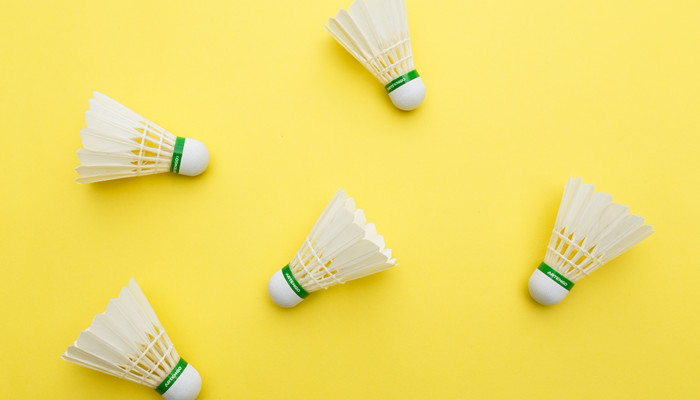 羽毛球拍十大品牌排行榜羽毛球拍品牌排行前十(图3)