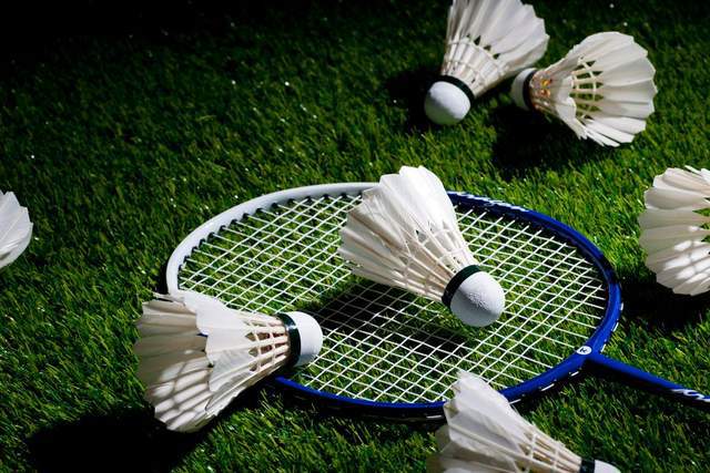 星空体育平台：比黄金还抢手羽毛球暴涨100%