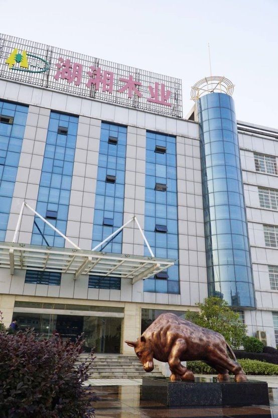 2025行业风向标：板材十大品牌权威解读(图2)