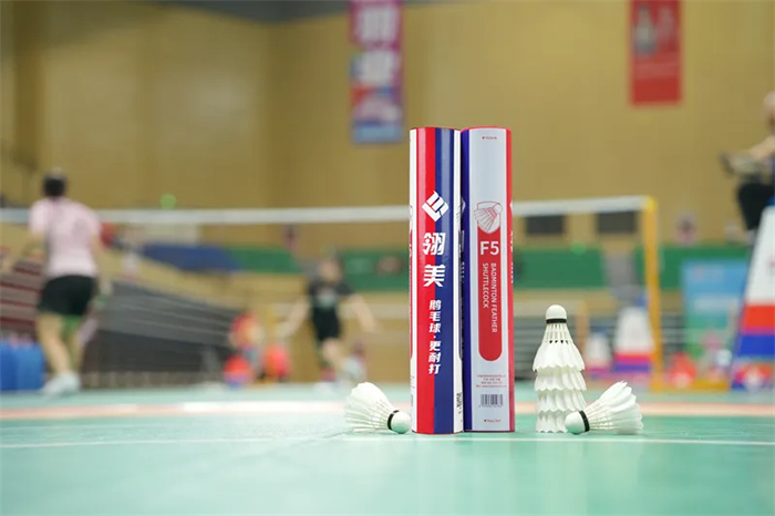 赛场风采2024年“翎美杯”安徽省青少年羽毛球锦标赛圆满收官(图3)