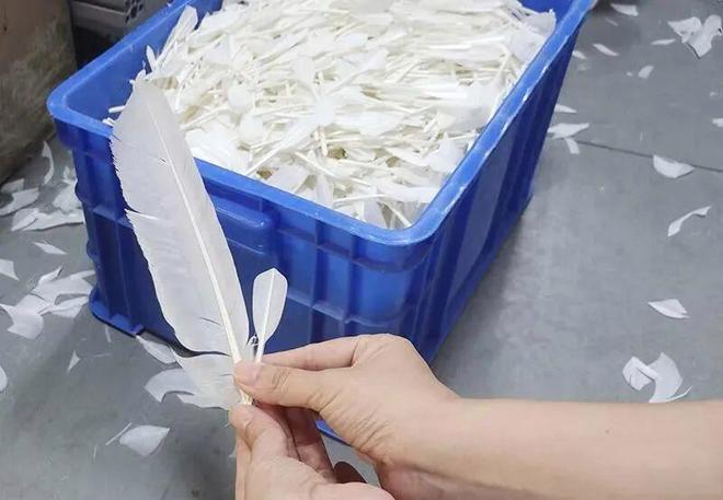 安徽六安年产8000万只羽毛球全球每5只训练球就有2只来自这里(图9)