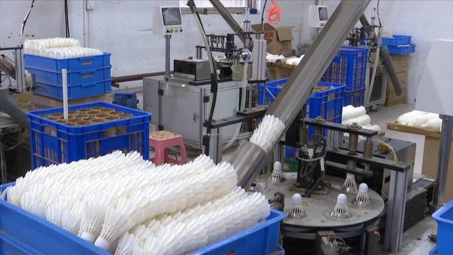 星空体育平台：聚焦高质量发展｜安徽六安：“皖西白鹅”链动羽毛大产业(图2)