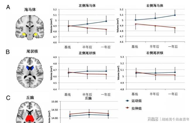 89%参与率爆火！羽毛球平价卸压燃脂清情绪交搭子(图5)