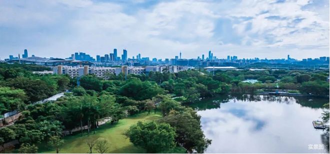 大湾区2025年1-10月广州房地产企业销售业绩排行榜(图5)