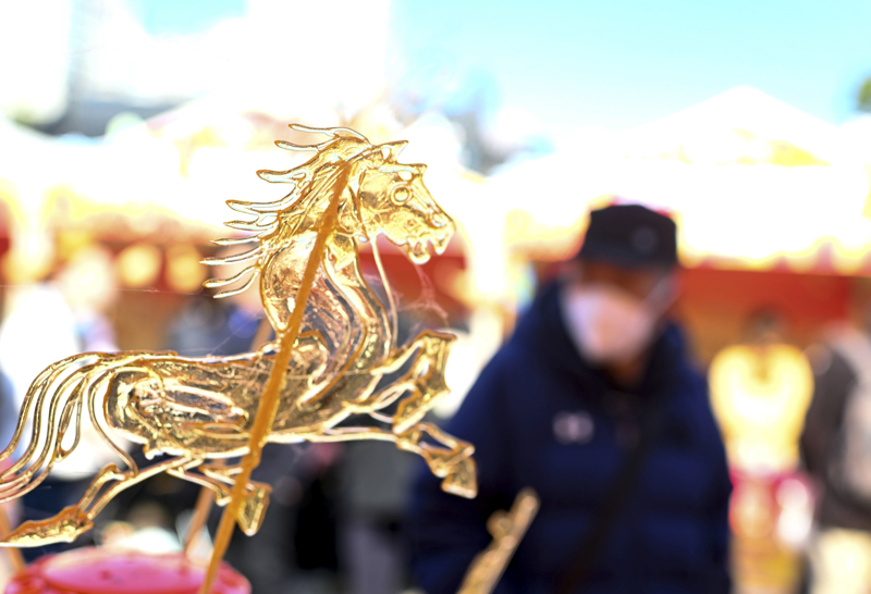 陵水发呆大赛今日开幕走去呆呆岛发呆(图4)