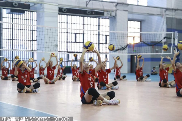 构建更加均衡、更加科学、更可持续的竞技体育发展新体系(图2)