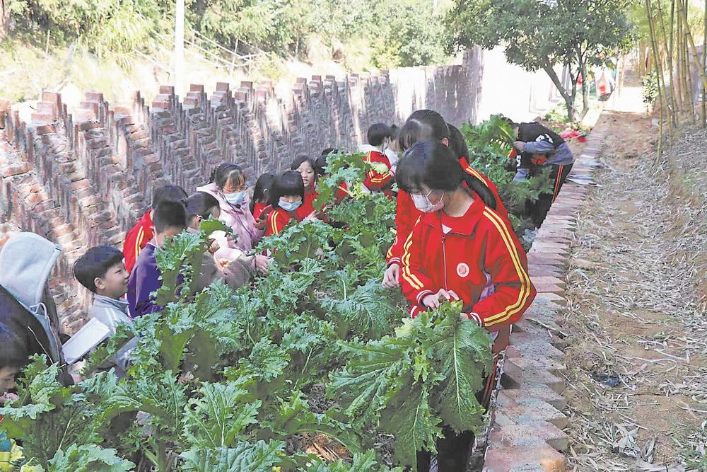 “健康学校”新解法(图1)