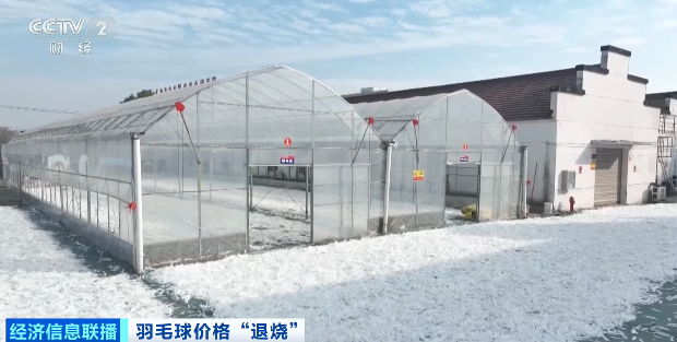 持续“高烧”三年降价了！多家主流品牌宣布→(图5)