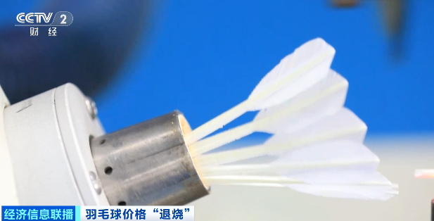 持续“高烧”三年降价了！多家主流品牌宣布→(图10)