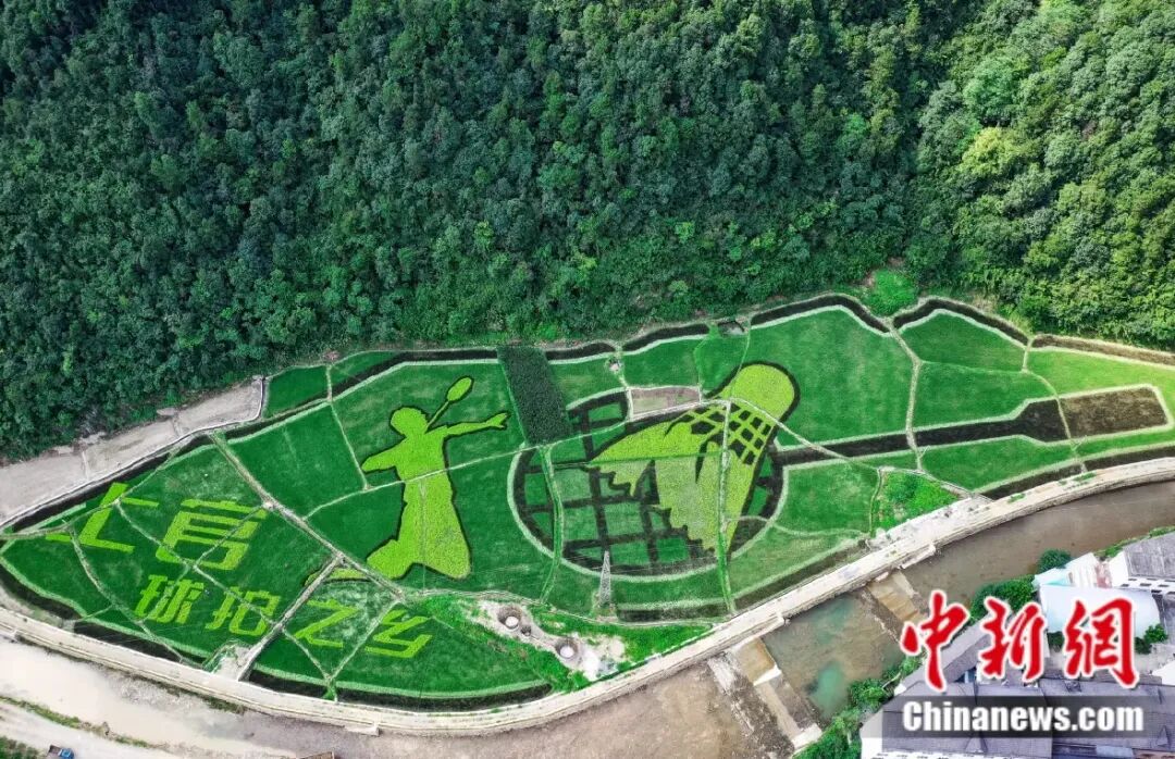 星空体育网站：富春江边的一个乡用50年把球拍做“透”了(图3)