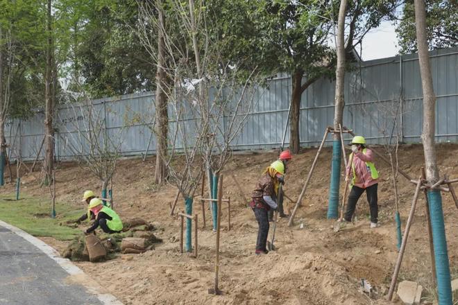 “10+1”重点工程进行时产业升级与民生改善双线并进青口河公园即将启用(图9)